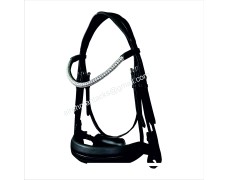 Leather Bridle 